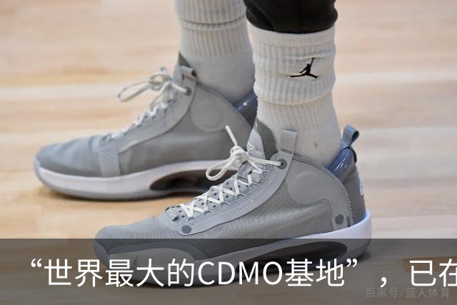 “世界最大的CDMO基地”，已在上海闲置两年多