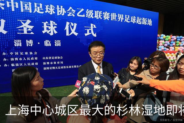 上海中心城区最大的杉林湿地即将进入最佳观赏期，记者实探