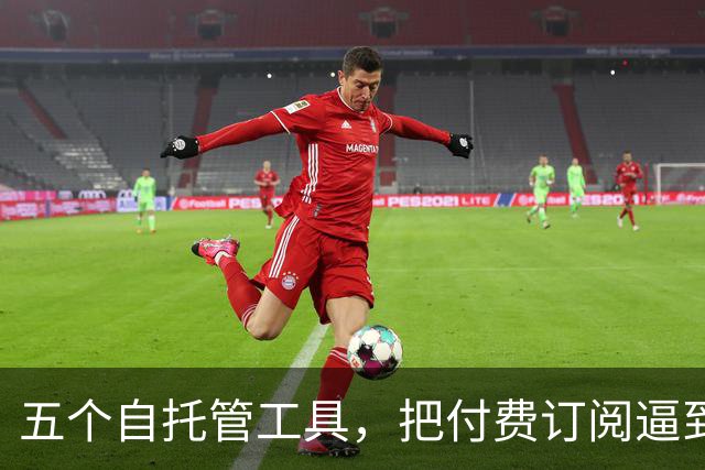 五个自托管工具，把付费订阅逼到墙角
