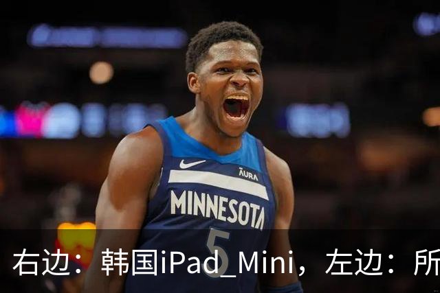 右边：韩国iPad Mini，左边：所有其他国家的iPad Mini