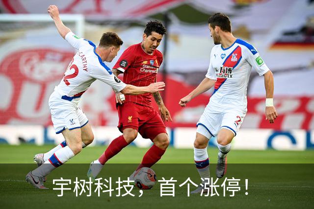 宇树科技，首个涨停！