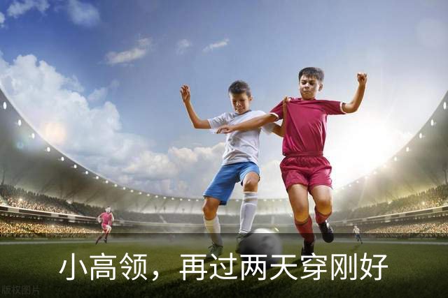 小高领，再过两天穿刚好