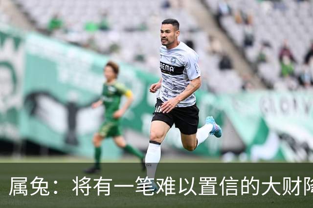 属兔：将有一笔难以置信的大财降临，2027年，你要乐开花