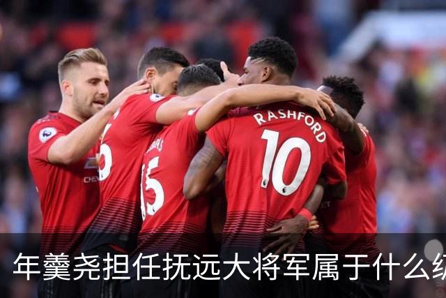 年羹尧担任抚远大将军属于什么级别？与大学士和军机大臣相比如何？