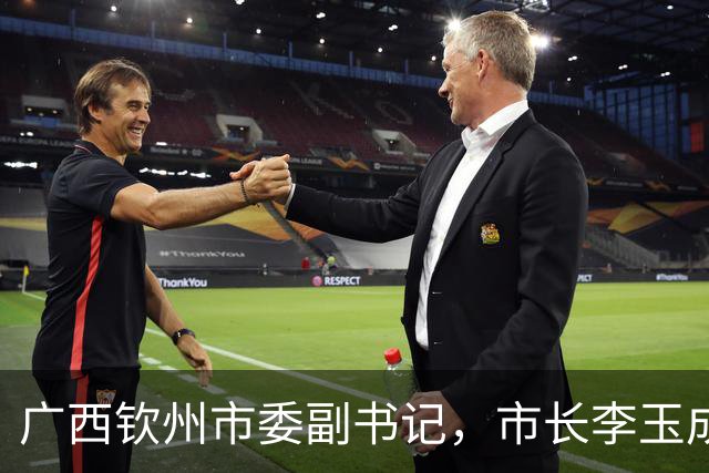 广西钦州市委副书记，市长李玉成简历
