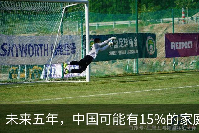 未来五年，中国可能有15%的家庭，会养一个家庭型机器人