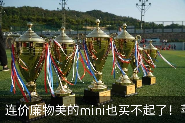 连价廉物美的mini也买不起了！苹果iPad mini8开售，顶配版破万