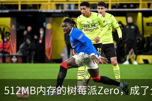 512MB内存的树莓派Zero，成了全家网络的DNS中枢